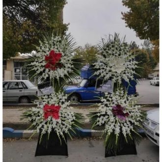 گلفروشی چند قدمی مسجد طالقانی زعفرانیه تهران