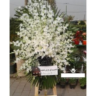 گلفروشی چند قدمی مسجد ابوالفتح سیروس تهران