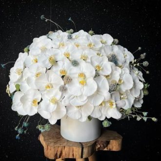 گل فروشی محدوده خیابان سنایی تهران