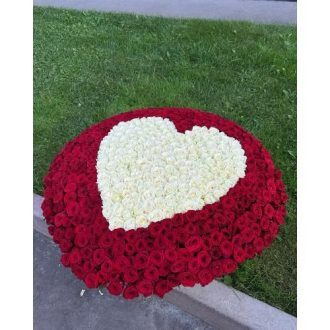 گل فروشی اطراف شرکت تیارا محله زعفرانیه تهران